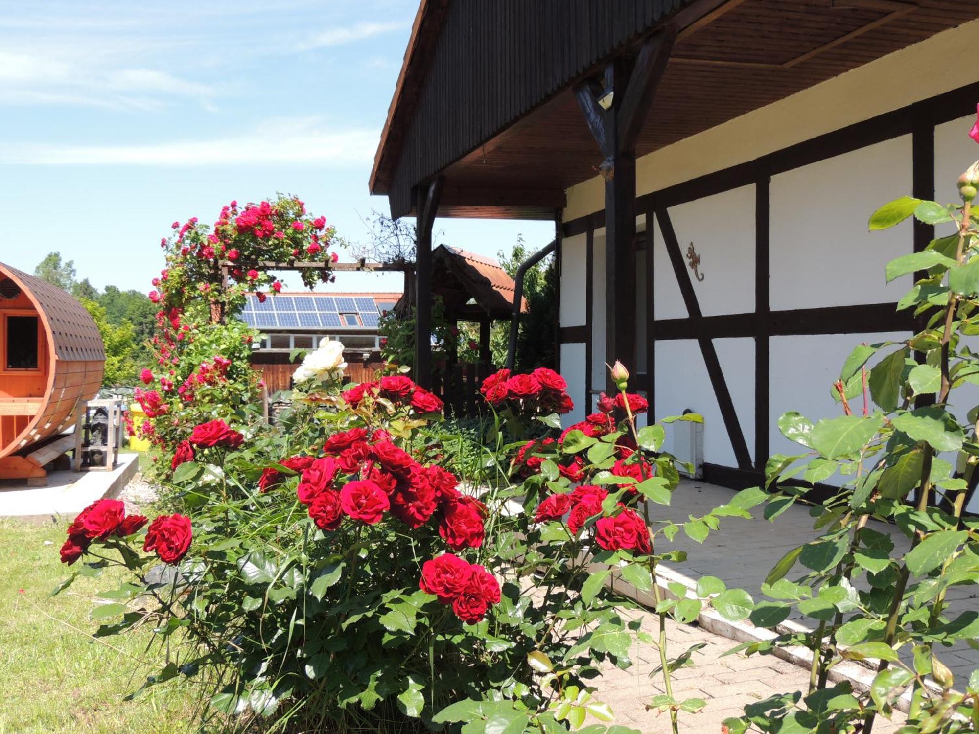 ורניגרוד Ferienhaus Weinberg מראה חיצוני תמונה
